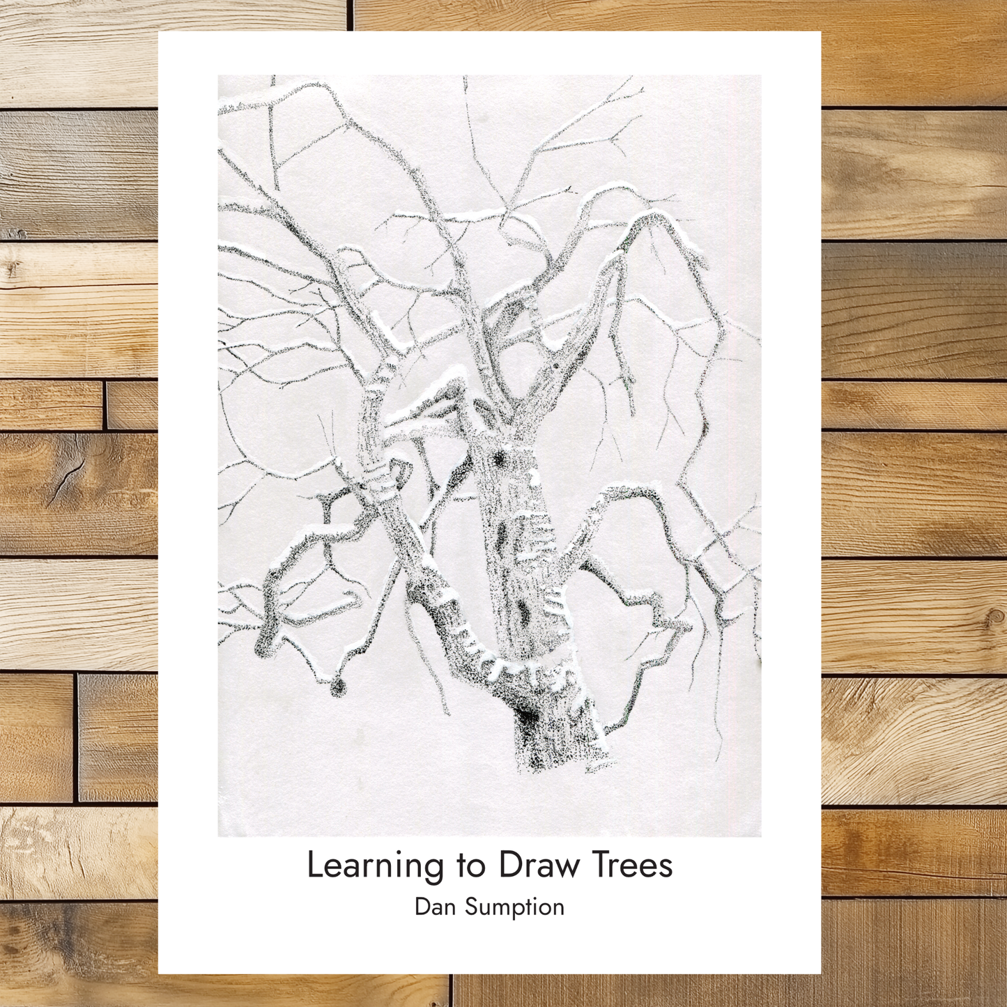 Learning to Draw Trees book by Dan Sumption