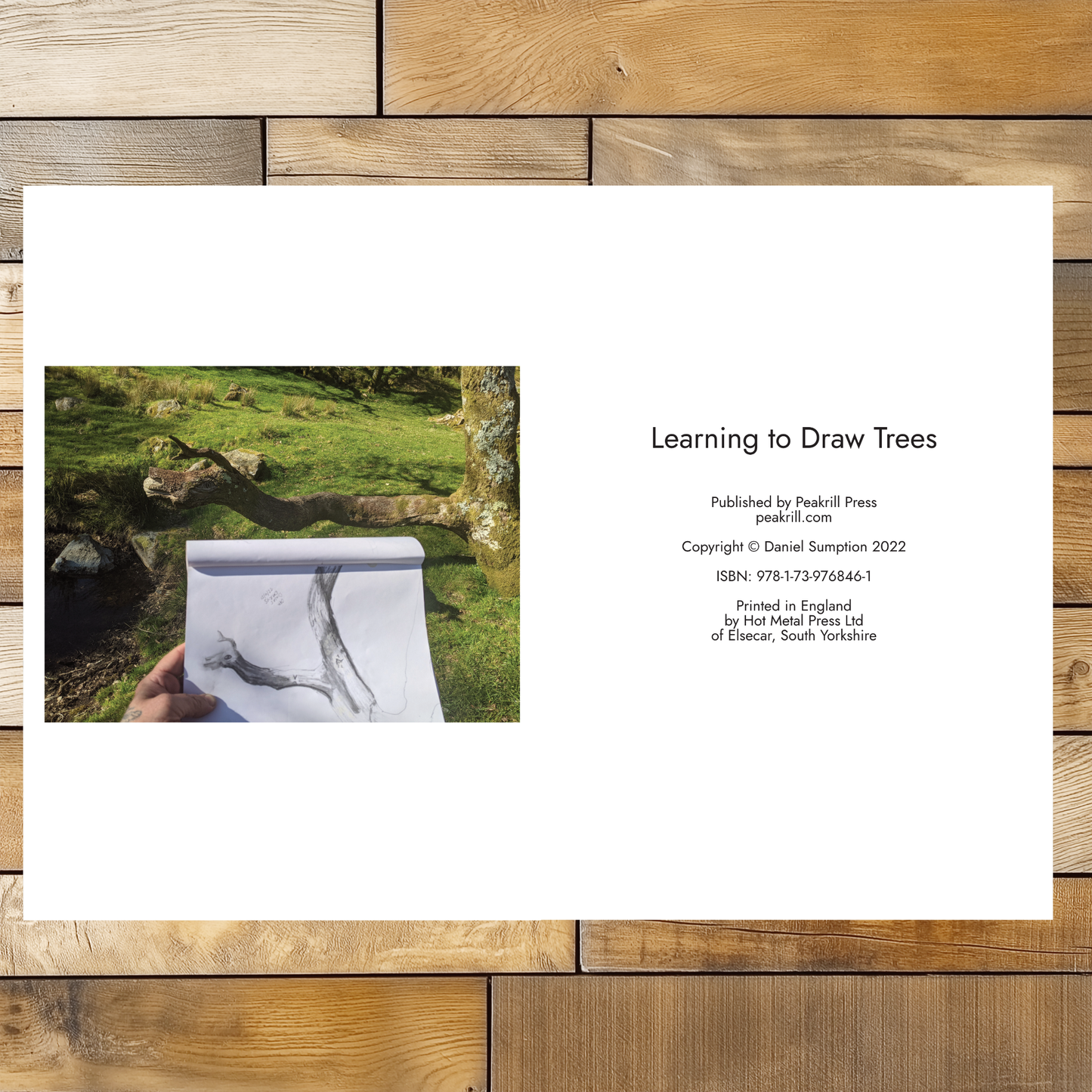 Learning to Draw Trees book by Dan Sumption