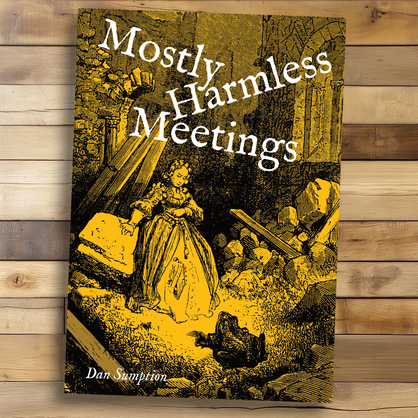 Mostly Harmless Meetings, by Dan Sumption