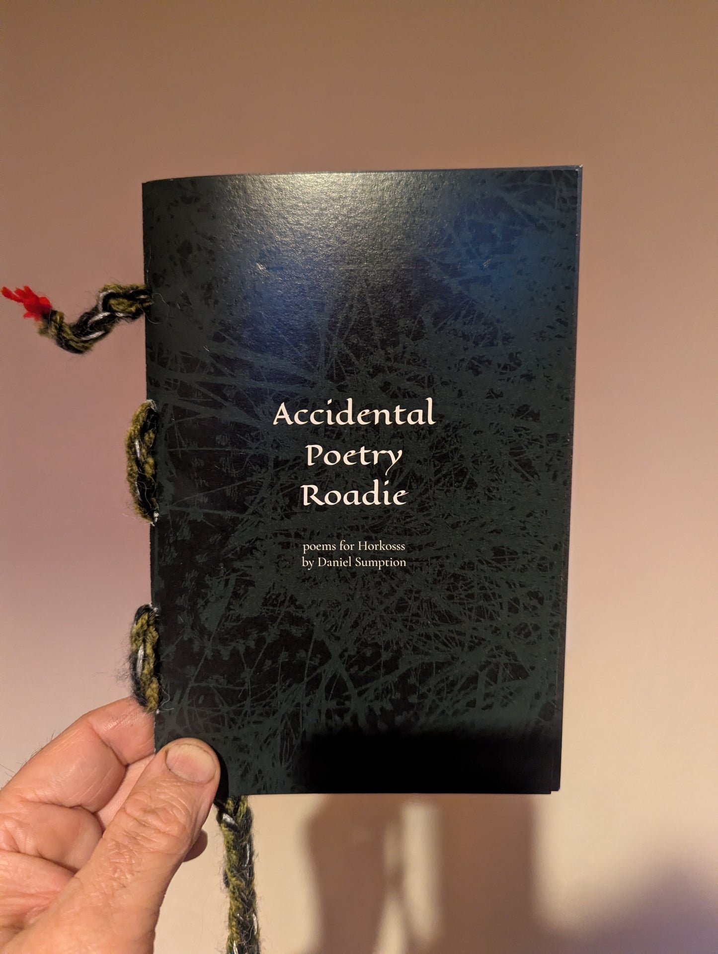 Accidental Poetry Roadie, by Dan Sumption